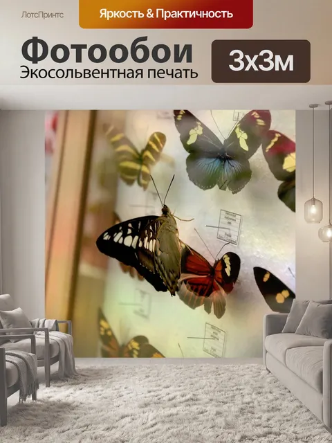 Фотообои Рамка