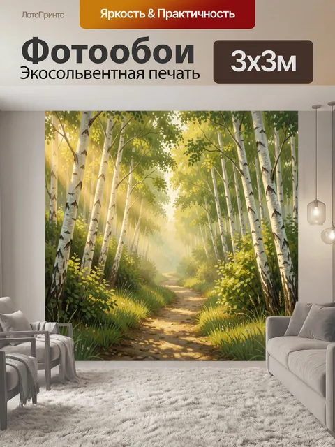 Фотообои Березовая тропа в солнечном лесу