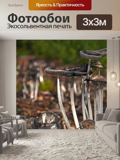 Фотообои Лес