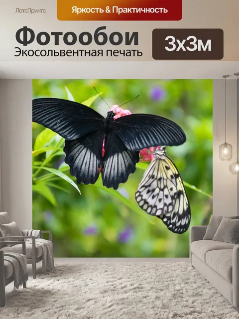 Фотообои Бабочки