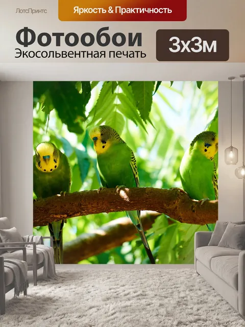 Фотообои Волнистый попугайчик