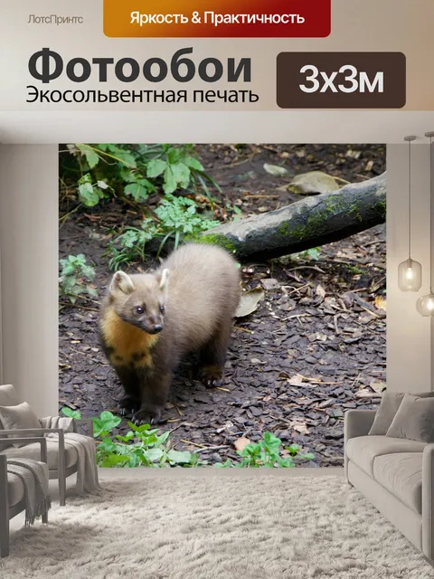 Фотообои Природа