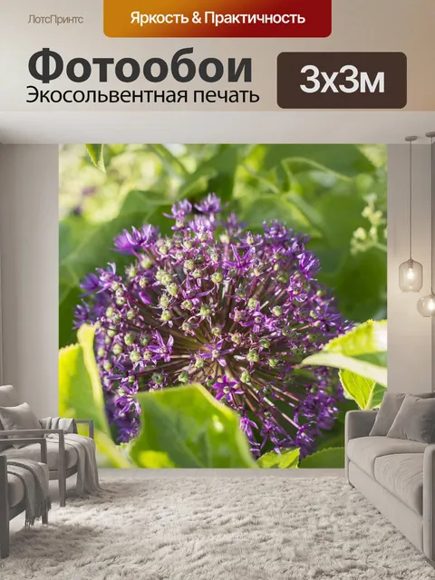 Фотообои Цветы