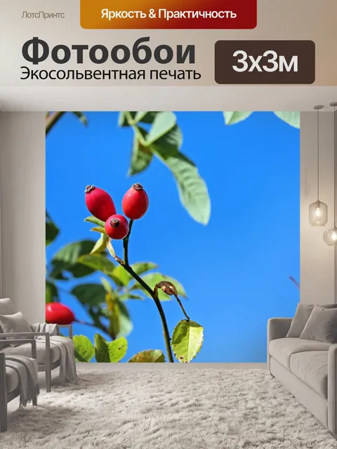 Фотообои Шиповника