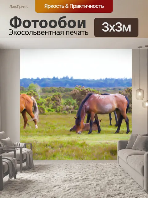 Фотообои Верховая Живопись