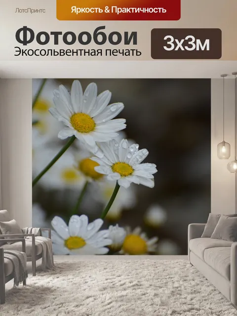 Фотообои Маргаритки