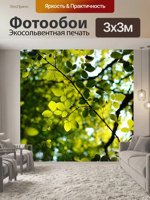 Фотообои Лесной массив