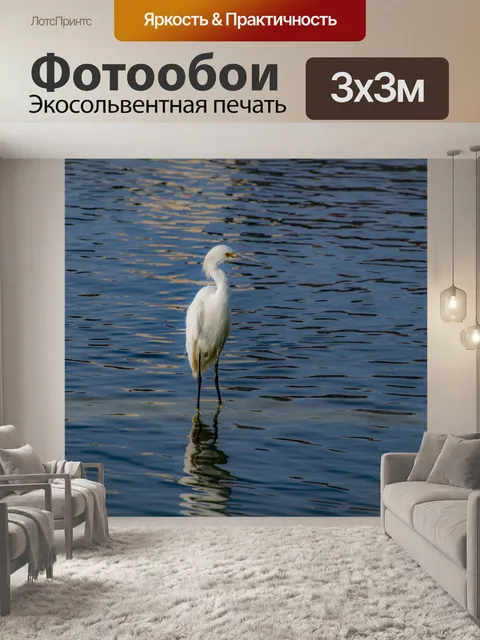 Фотообои Снежная цапля Постоянная вода