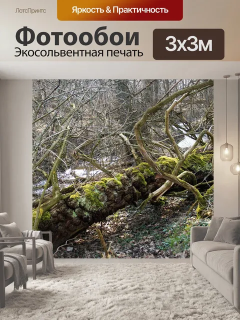 Фотообои Дерево