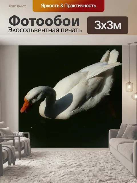 Фотообои Птица