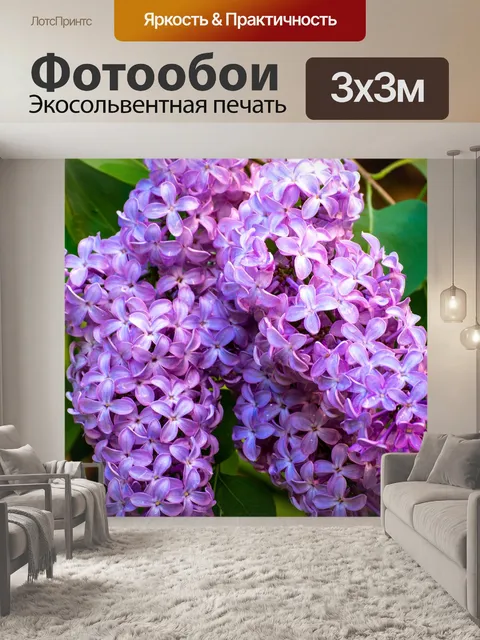 Фотообои Сирень