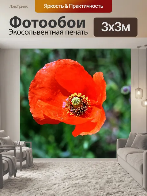 Фотообои Природа