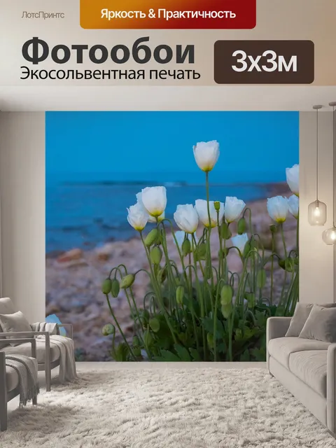 Фотообои Мак