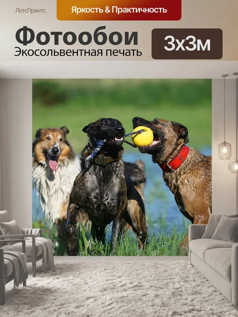 Фотообои Животные