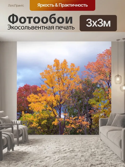 Фотообои Осенние деревья