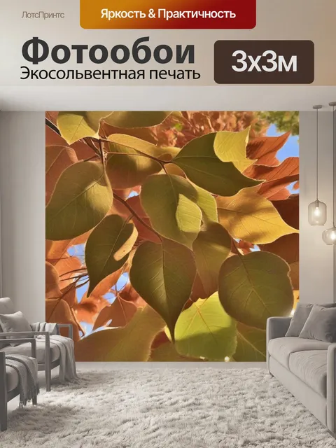 Фотообои осенние под солнцем