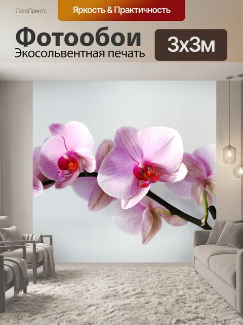 Фотообои Цветок