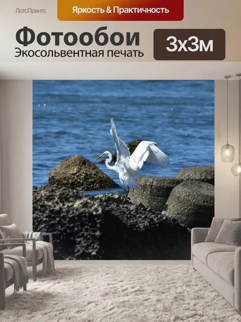 Фотообои Животное