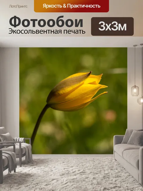 Фотообои Цветы