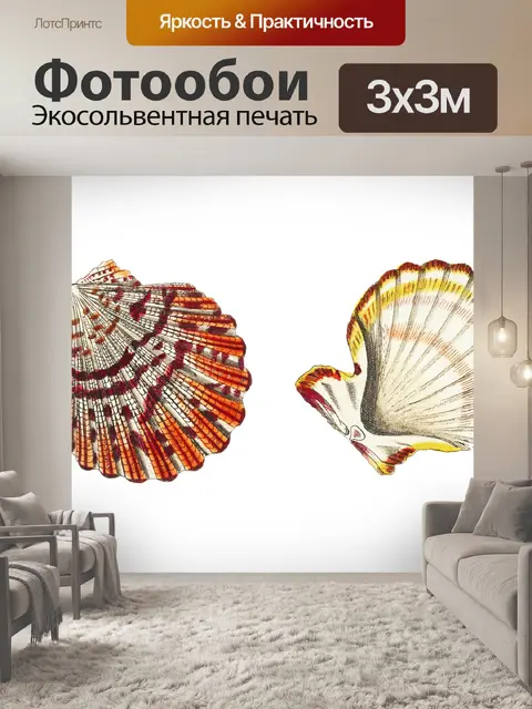 Фотообои Морская ракушка клипарт винтажное искусс