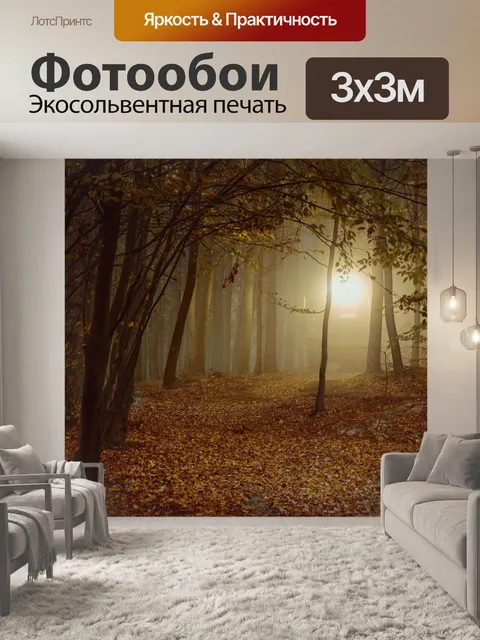 Фотообои Лес