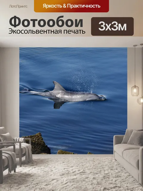 Фотообои Дельфин