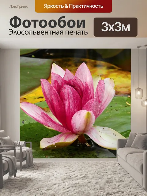 Фотообои Цветок