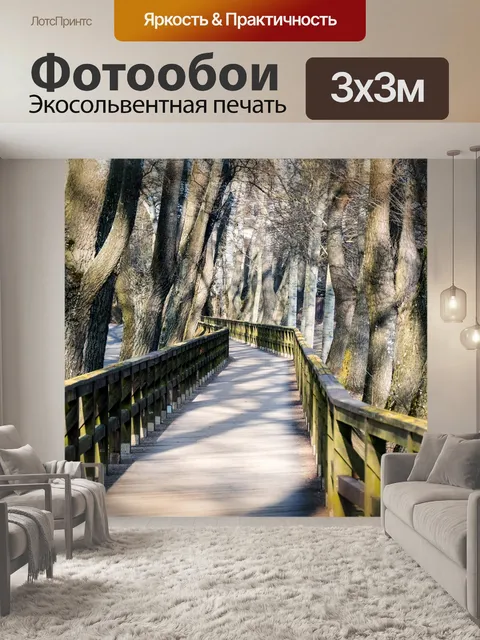 Фотообои Сеть