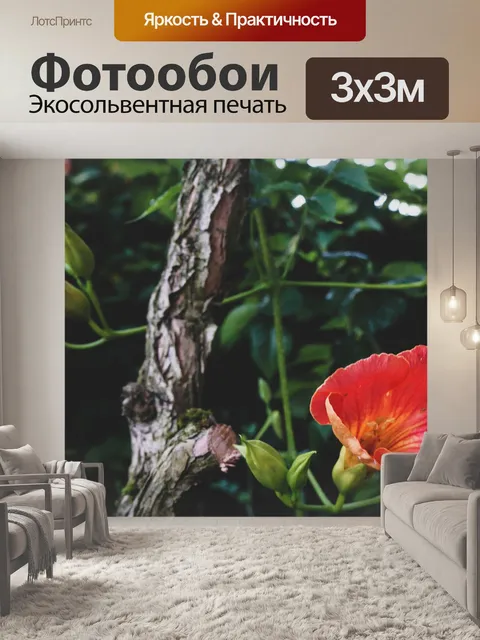 Фотообои Цветок
