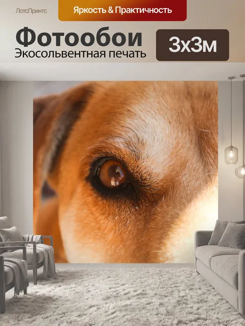 Фотообои Собака