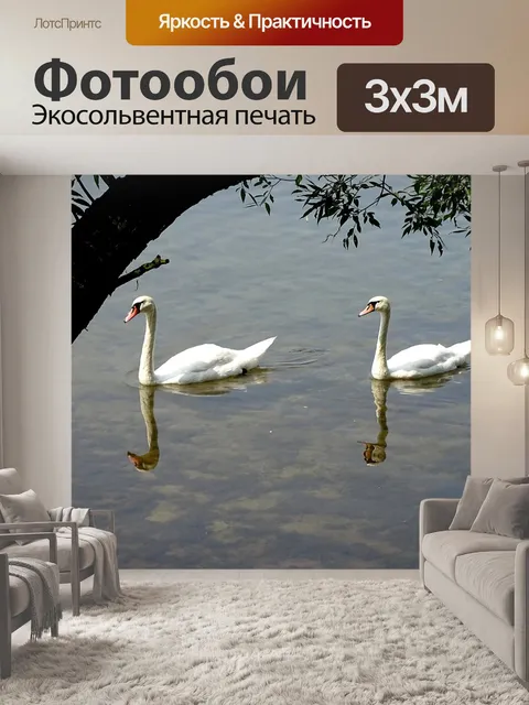 Фотообои Лебеди