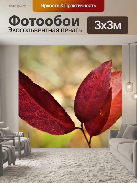 Фотообои Цвет