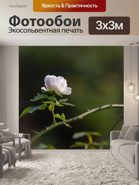Фотообои Роза
