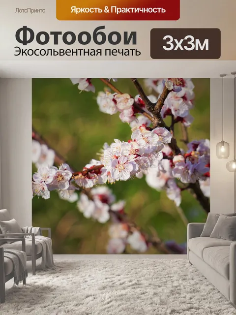 Фотообои Цветы