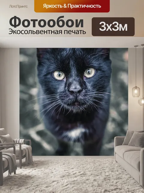 Фотообои Кошка