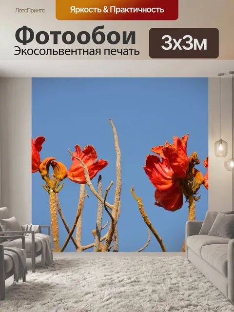 Фотообои Цветок