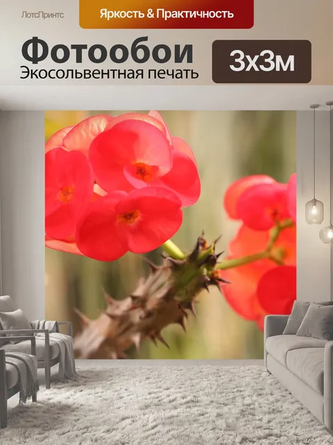 Фотообои Цветы