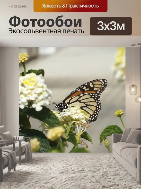 Фотообои Цветы