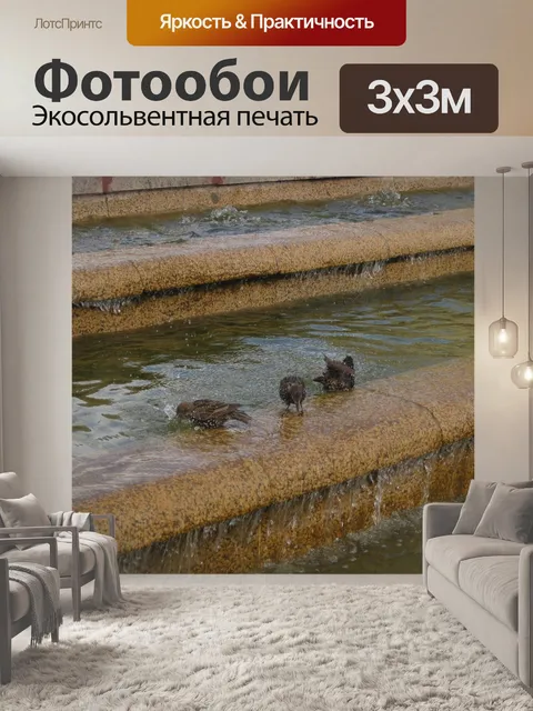 Фотообои Птицы