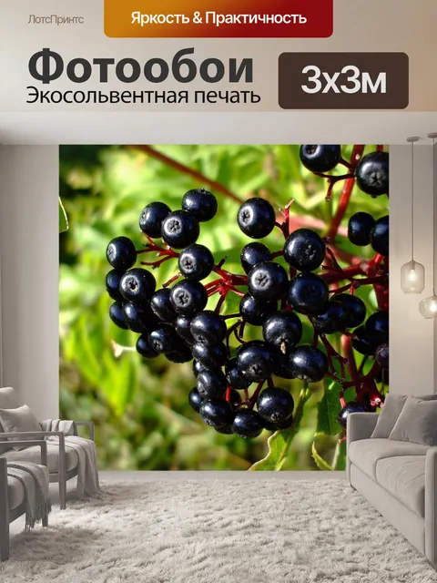 Фотообои Лесные ягоды