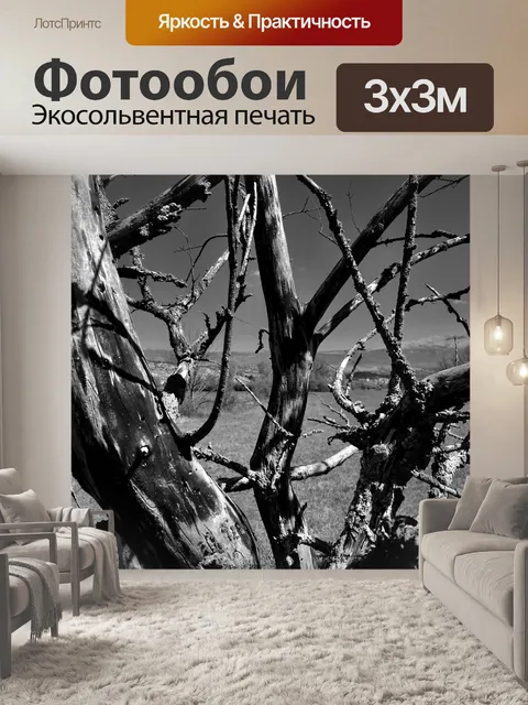 Фотообои Природа