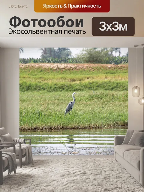 Фотообои Цапля