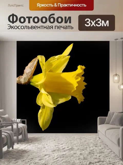 Фотообои Нарцисс, желтый цветок