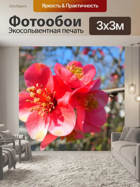 Фотообои Айва