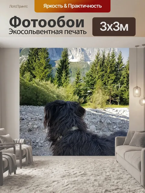 Фотообои Собака