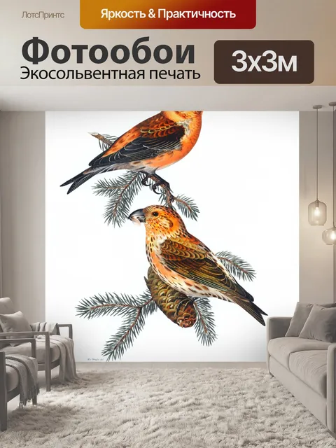 Фотообои Птица винтаж искусство старый
