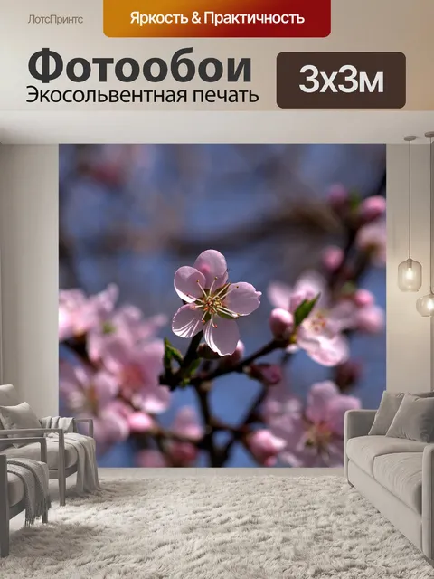 Фотообои Цветок