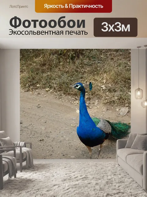 Фотообои Животное