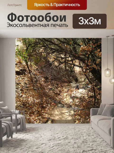Фотообои бетонные плиты и шиферная дорожка