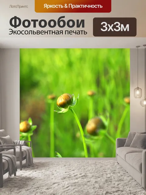 Фотообои Бутоны